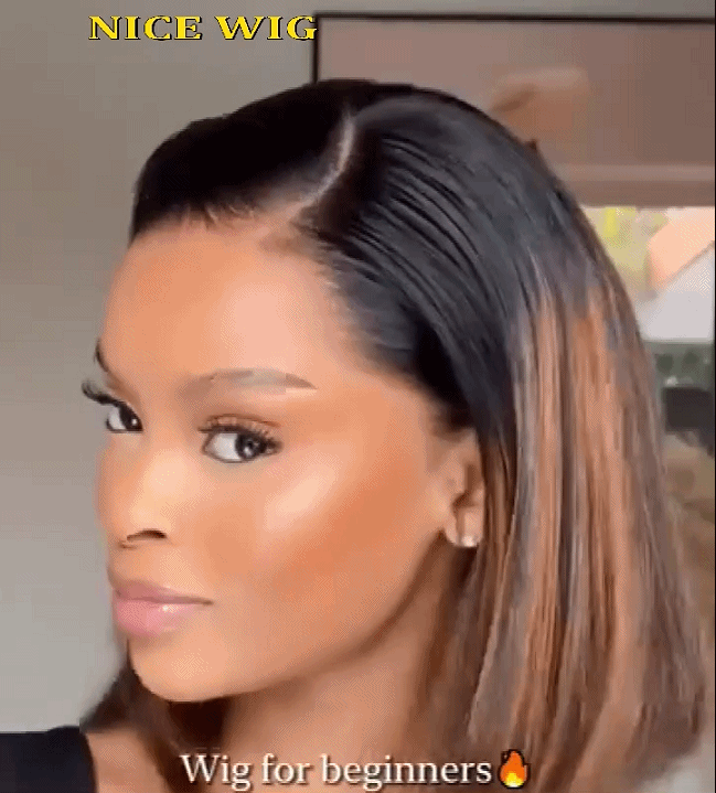 Ombre Black Brown Brazilian Straight Hair BOB Wigs Lady Wig